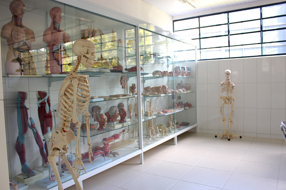 Laboratório de Anatomia